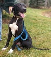 Noah-ADOPTED 06.02.13