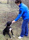 Noah-ADOPTED 06.02.13