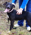 Noah-ADOPTED 06.02.13