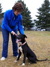 Noah-ADOPTED 06.02.13