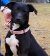 Noah-ADOPTED 06.02.13