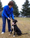 Noah-ADOPTED 06.02.13