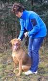Amore-ADOPTED 04.14.13