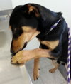 Crosby-ADOPTED 02.05.13