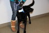 Riggo-ADOPTED 02.02.13