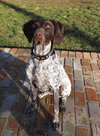 Ruger-ADOPTED 02.08.13