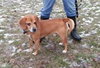 Perkins-ADOPTED 02.23.13