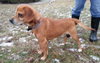 Perkins-ADOPTED 02.23.13