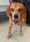 Perkins-ADOPTED 02.23.13