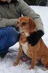 Perkins-ADOPTED 02.23.13
