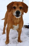 Perkins-ADOPTED 02.23.13