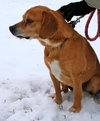 Perkins-ADOPTED 02.23.13