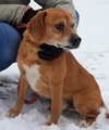 Perkins-ADOPTED 02.23.13