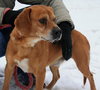 Perkins-ADOPTED 02.23.13