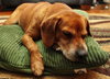 Perkins-ADOPTED 02.23.13