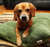 Perkins-ADOPTED 02.23.13