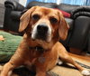 Perkins-ADOPTED 02.23.13