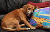 Perkins-ADOPTED 02.23.13
