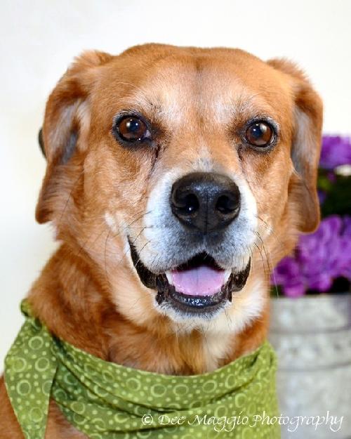 Perkins-ADOPTED 02.23.13