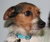 Flynn-ADOPTED 05.13.13
