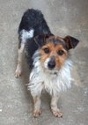 Flynn-ADOPTED 05.13.13