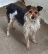 Flynn-ADOPTED 05.13.13