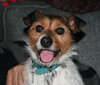 Flynn-ADOPTED 05.13.13