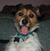 Flynn-ADOPTED 05.13.13