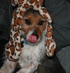 Flynn-ADOPTED 05.13.13