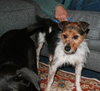 Flynn-ADOPTED 05.13.13