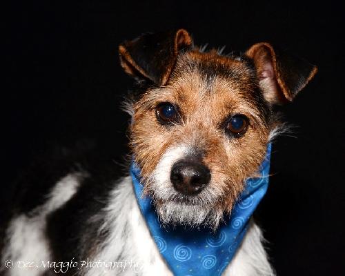 Flynn-ADOPTED 05.13.13