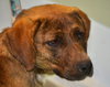 Teeger-Adopted 03.08.13