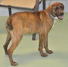 Teeger-Adopted 03.08.13