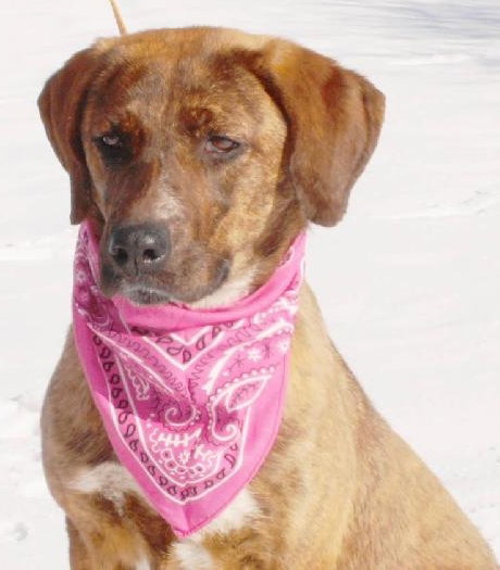 Teeger-Adopted 03.08.13