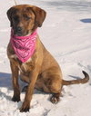 Teeger-Adopted 03.08.13
