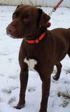 Briggs-ADOPTED 02.24.13