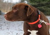 Briggs-ADOPTED 02.24.13