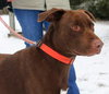 Briggs-ADOPTED 02.24.13