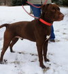 Briggs-ADOPTED 02.24.13