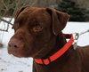 Briggs-ADOPTED 02.24.13