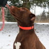 Briggs-ADOPTED 02.24.13