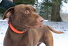 Briggs-ADOPTED 02.24.13
