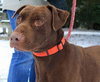 Briggs-ADOPTED 02.24.13