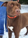 Briggs-ADOPTED 02.24.13