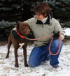 Briggs-ADOPTED 02.24.13