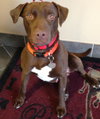 Briggs-ADOPTED 02.24.13