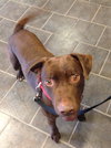 Briggs-ADOPTED 02.24.13