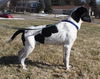 Fennway-ADOPTED 03.15.13