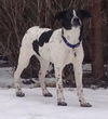 Fennway-ADOPTED 03.15.13