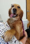 Priscilla & Primrose-ADOPTED 03.02.13